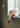 Duck Lamp in Head Down from Heico