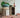 'Babar a 50 Ans' Plakat