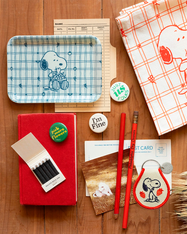 Peanuts Snoopy Small Tray 'Cherry Basket'