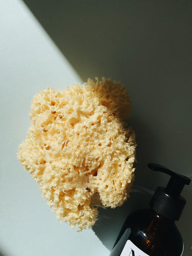 Natural Sea Sponge